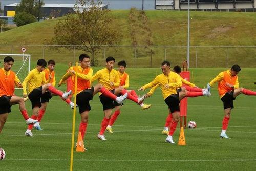 爆料国足新西兰视频大全,精彩瞬间大盘点